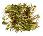 фото лекарственные травы и растения картинка Горицвет