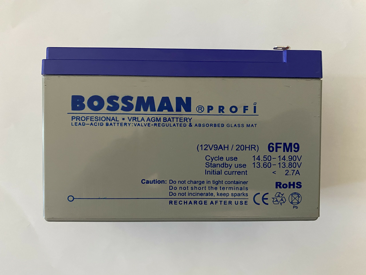 Аккумулятор для детских электромобилей Bossman-Profi 6FM9 