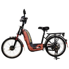 Электровелосипед Veola BL-L