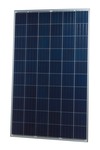 фото солнечную батарею панель картинка Солнечная батарея Risen RSM60-6-260P 