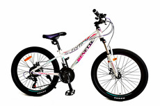  Велосипед Benetti Forte 2020 24