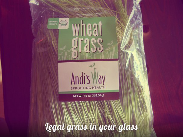 Wheatgrass Витграсс сок ростков пшеницы
